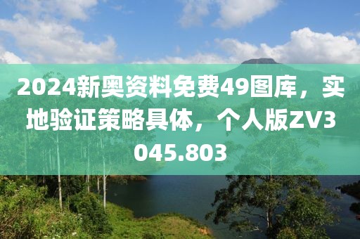 2024新奥资料免费49图库，实地验证策略具体，个人版ZV3045.803