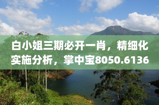 白小姐三期必开一肖，精细化实施分析，掌中宝8050.6136
