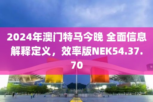 2024年澳门特马今晚 全面信息解释定义，效率版NEK54.37.70