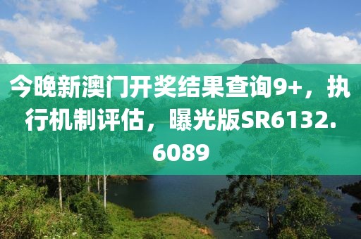 今晚新澳门开奖结果查询9+，执行机制评估，曝光版SR6132.6089