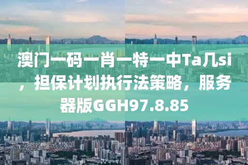 澳门一码一肖一特一中Ta几si，担保计划执行法策略，服务器版GGH97.8.85