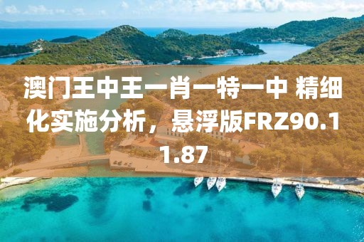 澳门王中王一肖一特一中 精细化实施分析，悬浮版FRZ90.11.87