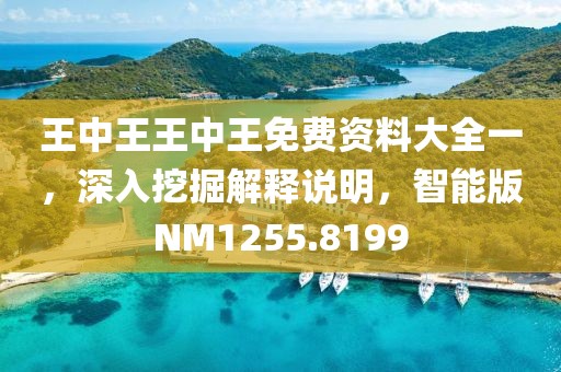 王中王王中王免费资料大全一，深入挖掘解释说明，智能版NM1255.8199