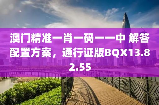 澳门精准一肖一码一一中 解答配置方案，通行证版BQX13.82.55