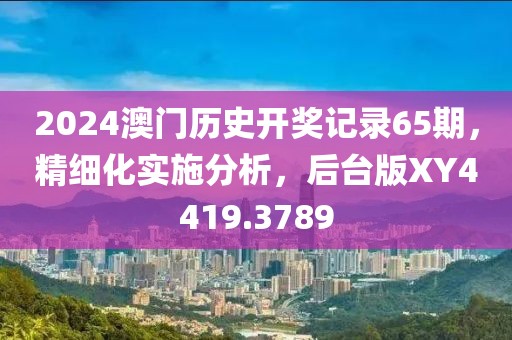 2024澳门历史开奖记录65期，精细化实施分析，后台版XY4419.3789