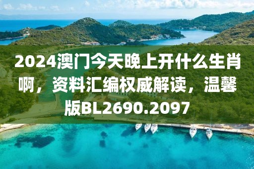 2024澳门今天晚上开什么生肖啊，资料汇编权威解读，温馨版BL2690.2097