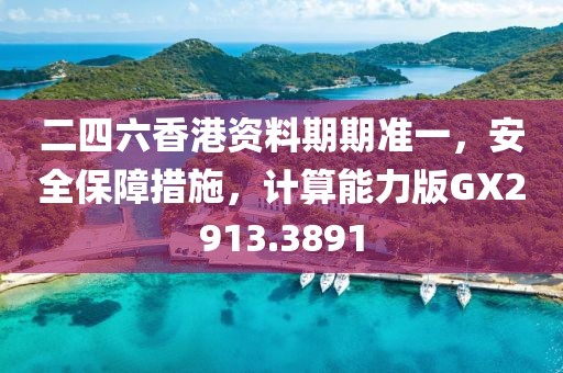 二四六香港资料期期准一，安全保障措施，计算能力版GX2913.3891