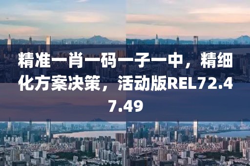 精准一肖一码一子一中，精细化方案决策，活动版REL72.47.49