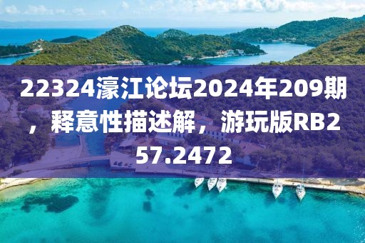 22324濠江论坛2024年209期，释意性描述解，游玩版RB257.2472