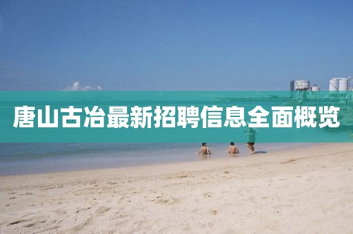 唐山古冶最新招聘信息全面概览