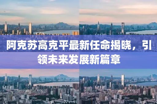 阿克苏高克平最新任命揭晓，引领未来发展新篇章
