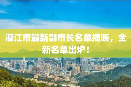 湛江市最新副市长名单揭晓，全新名单出炉！