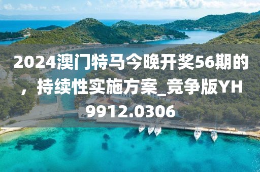 2024澳门特马今晚开奖56期的，持续性实施方案_竞争版YH9912.0306