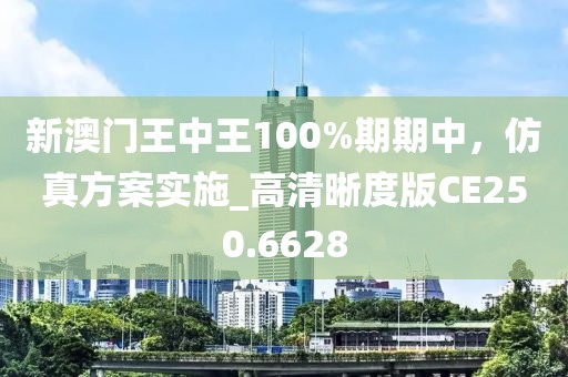 新澳门王中王100%期期中，仿真方案实施_高清晰度版CE250.6628