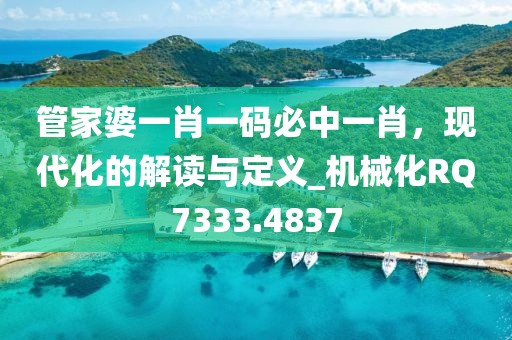管家婆一肖一码必中一肖，现代化的解读与定义_机械化RQ7333.4837