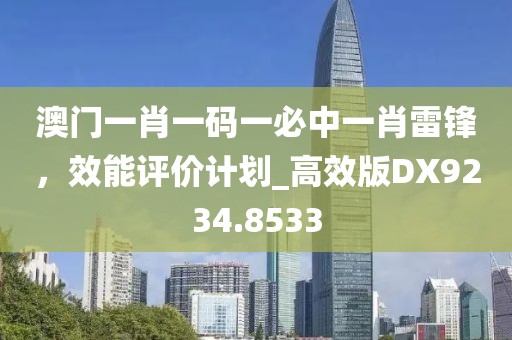 澳门一肖一码一必中一肖雷锋，效能评价计划_高效版DX9234.8533