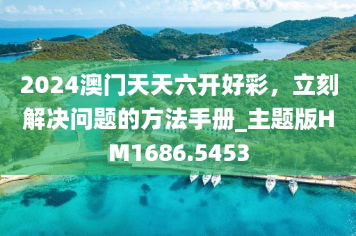 2024澳门天天六开好彩，立刻解决问题的方法手册_主题版HM1686.5453