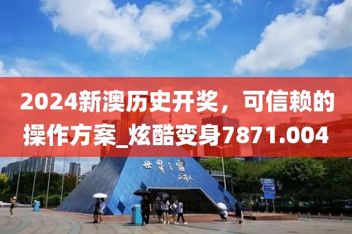 2024新澳历史开奖，可信赖的操作方案_炫酷变身7871.004