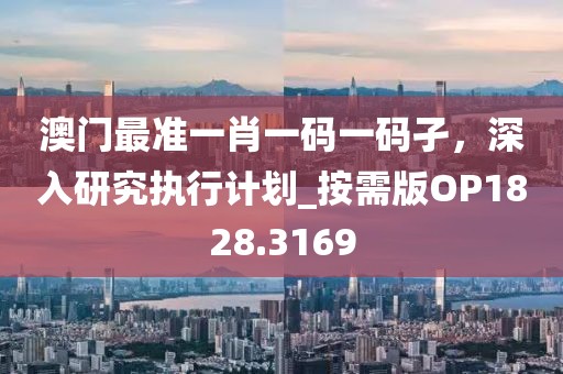 澳门最准一肖一码一码孑，深入研究执行计划_按需版OP1828.3169