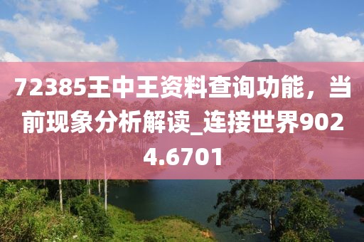 72385王中王资料查询功能，当前现象分析解读_连接世界9024.6701
