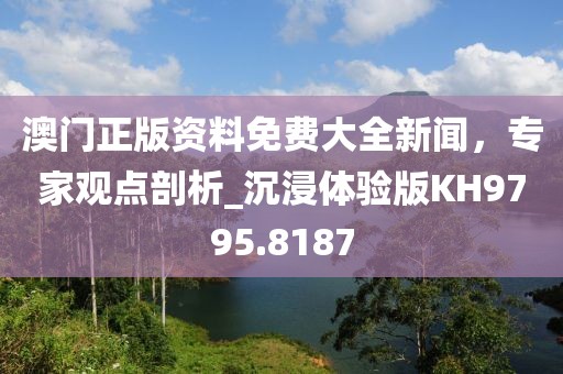 澳门正版资料免费大全新闻，专家观点剖析_沉浸体验版KH9795.8187