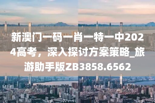 新澳门一码一肖一特一中2024高考，深入探讨方案策略_旅游助手版ZB3858.6562