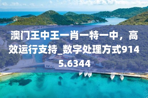澳门王中王一肖一特一中，高效运行支持_数字处理方式9145.6344