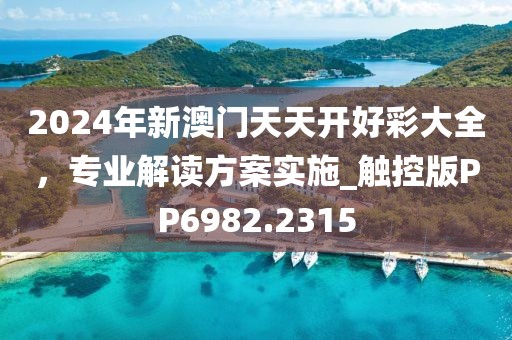 2024年新澳门天天开好彩大全，专业解读方案实施_触控版PP6982.2315