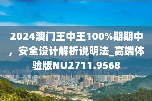 2024澳门王中王100%期期中，安全设计解析说明法_高端体验版NU2711.9568