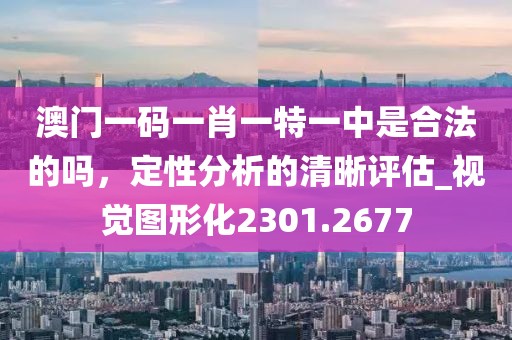 澳门一码一肖一特一中是合法的吗，定性分析的清晰评估_视觉图形化2301.2677