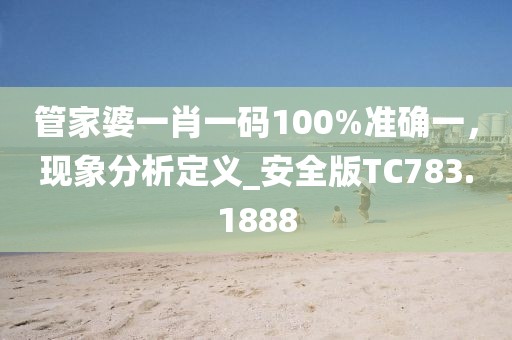 管家婆一肖一码100%准确一，现象分析定义_安全版TC783.1888