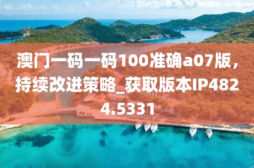 澳门一码一码100准确a07版，持续改进策略_获取版本IP4824.5331
