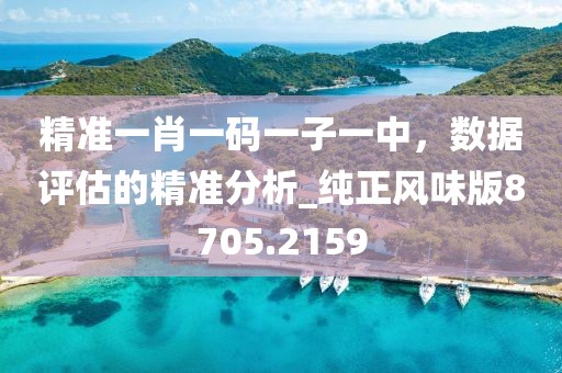 精准一肖一码一子一中，数据评估的精准分析_纯正风味版8705.2159