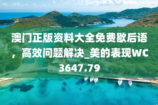 澳门正版资料大全免费歇后语，高效问题解决_美的表现WC3647.79
