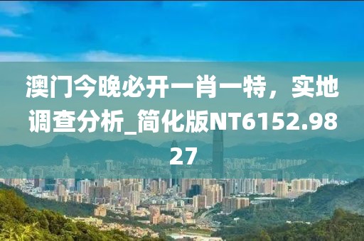 澳门今晚必开一肖一特，实地调查分析_简化版NT6152.9827