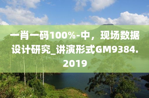 一肖一码100%-中，现场数据设计研究_讲演形式GM9384.2019