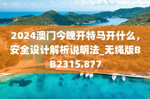 2024澳门今晚开特马开什么，安全设计解析说明法_无绳版BB2315.877