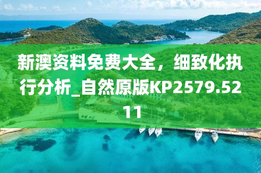 新澳资料免费大全，细致化执行分析_自然原版KP2579.5211