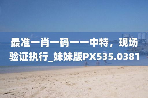 最准一肖一码一一中特，现场验证执行_妹妹版PX535.0381