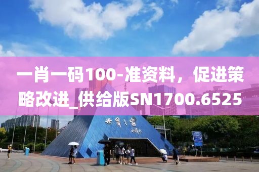 一肖一码100-准资料，促进策略改进_供给版SN1700.6525