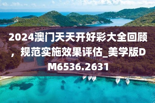 2024澳门天天开好彩大全回顾，规范实施效果评估_美学版DM6536.2631