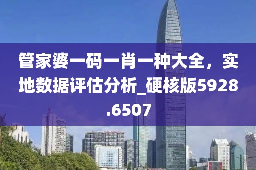 管家婆一码一肖一种大全，实地数据评估分析_硬核版5928.6507