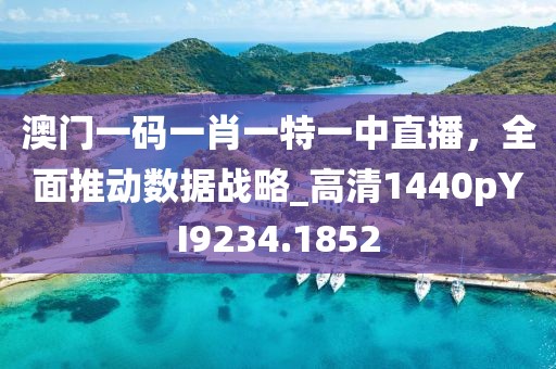 澳门一码一肖一特一中直播，全面推动数据战略_高清1440pYI9234.1852
