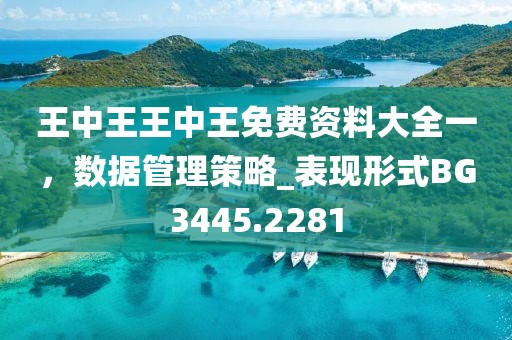 王中王王中王免费资料大全一，数据管理策略_表现形式BG3445.2281