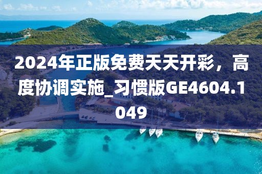 2024年正版免费天天开彩，高度协调实施_习惯版GE4604.1049