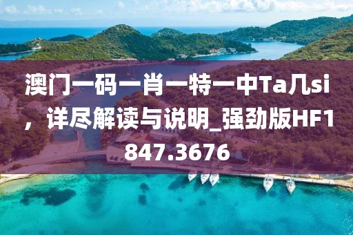 澳门一码一肖一特一中Ta几si，详尽解读与说明_强劲版HF1847.3676