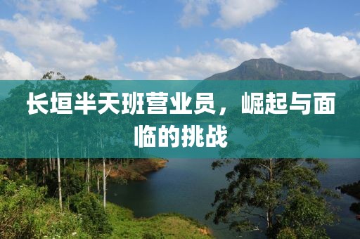 长垣半天班营业员，崛起与面临的挑战
