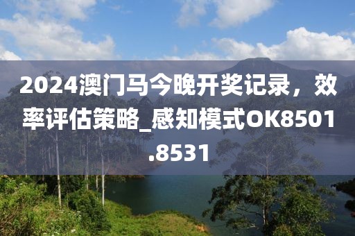 2024澳门马今晚开奖记录，效率评估策略_感知模式OK8501.8531