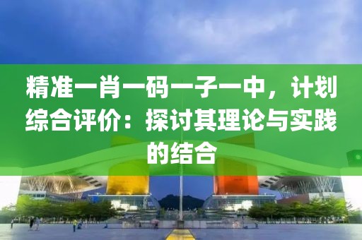 精准一肖一码一子一中，计划综合评价：探讨其理论与实践的结合