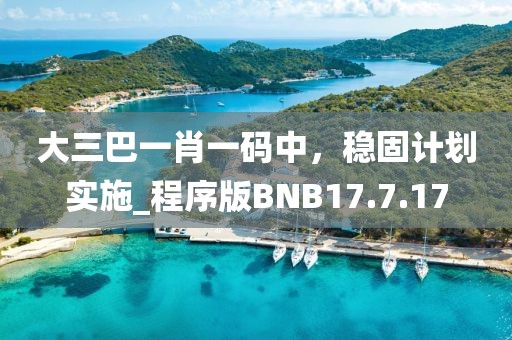 大三巴一肖一码中，稳固计划实施_程序版BNB17.7.17